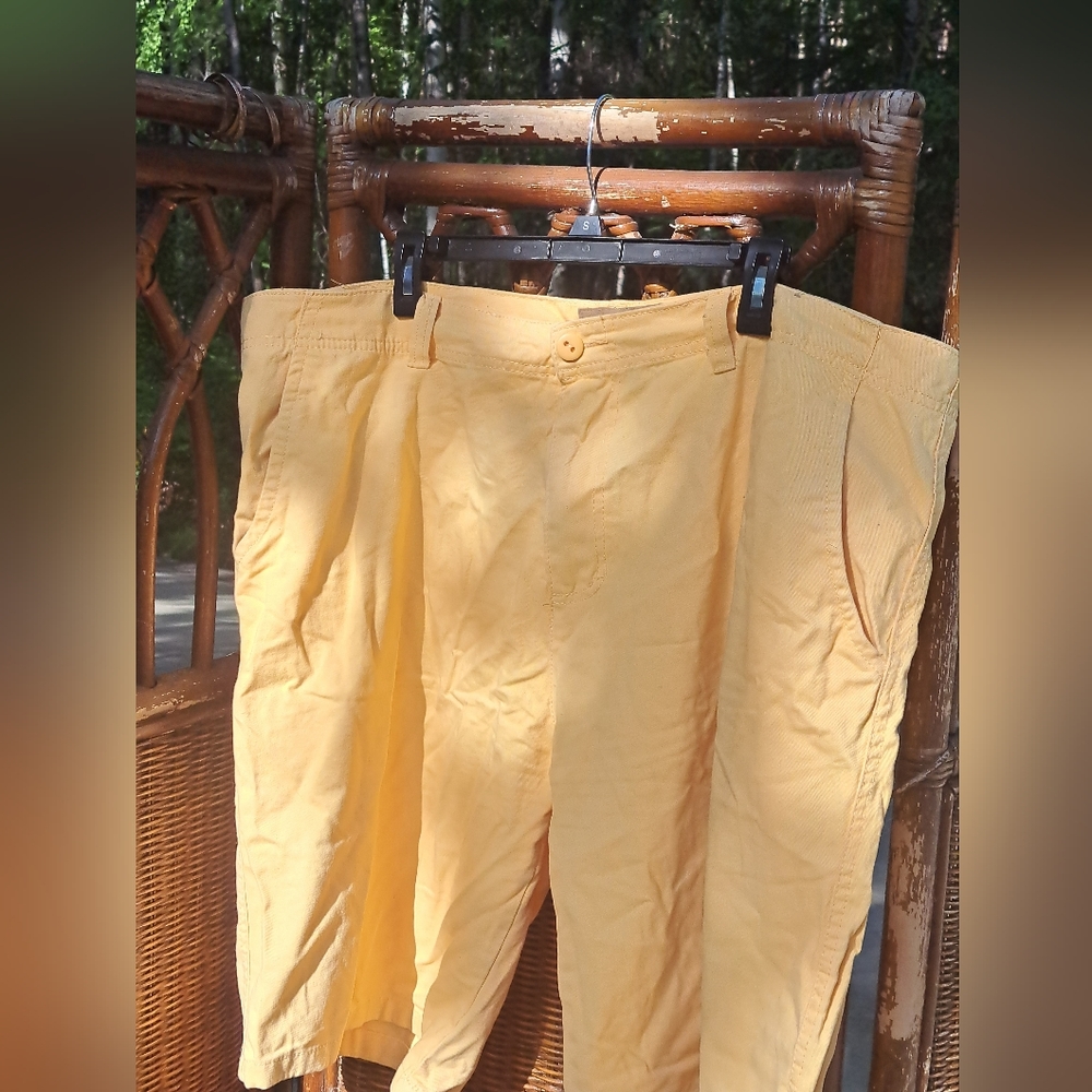Iron co.shorts size 42💛🌾